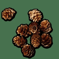 PINECONE Decoración Para Esparcir Dorado