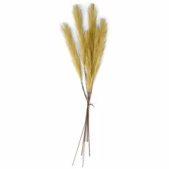 PLUME Plumas Decorativas Marrón Claro