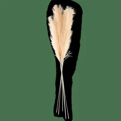 PLUME Plumas Decorativas Crema