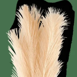 PLUME Plumas Decorativas Crema