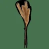 PLUME Plumas Decorativas Marrón