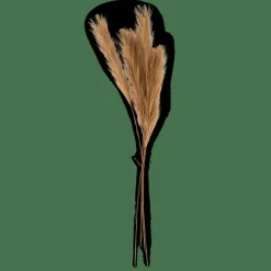 PLUME Plumas Decorativas Marrón