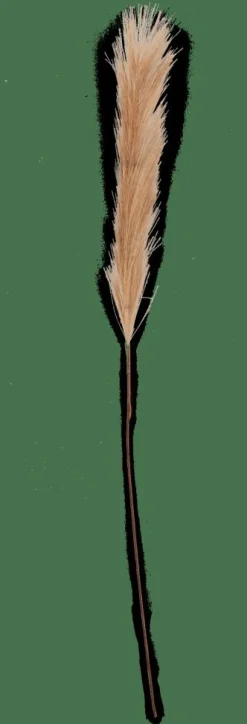 PLUME Plumas Decorativas Marrón