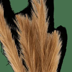 PLUME Plumas Decorativas Marrón