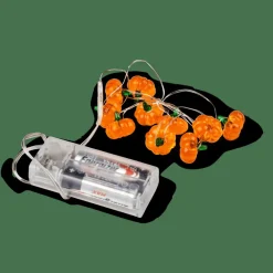 PUMPKIN Guirnalda Naranja