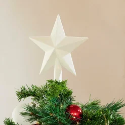 STAR Decoración Seca