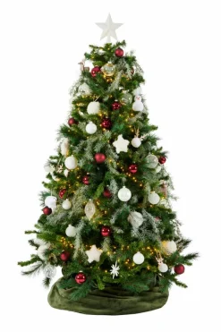 STAR Decoración Seca