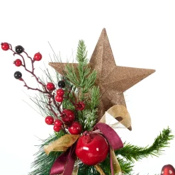 STAR Decoración Seca