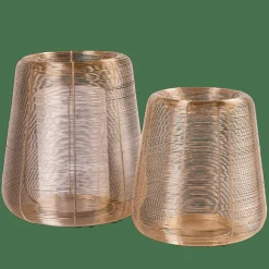 STELLAR Farolillo Dorado