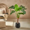 TARO Planta Artificial ARO Verde