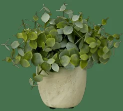 TERRA Planta En Maceta Blanco, Verde