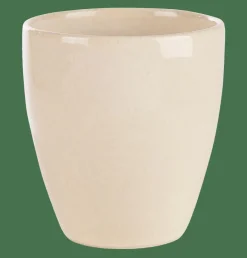 TOKO SAND Taza Beis