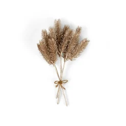 WILLOW Corona Natural