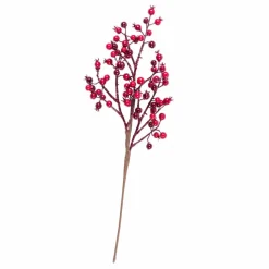 WILLOW Corona Natural